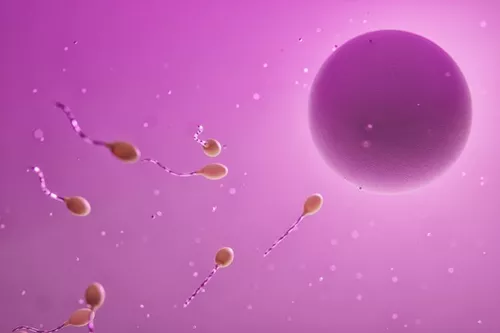 Oligospermia