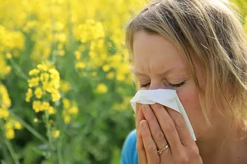 Predisposición y prevención de alergias