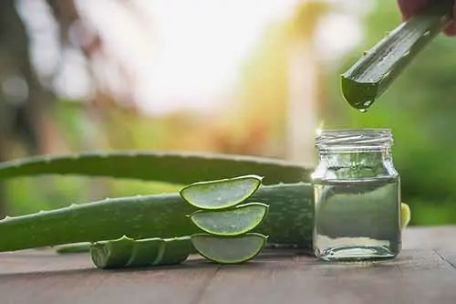 Propiedades del aloe vera