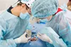 Intervenciones y Procedimientos Quirúrgicos